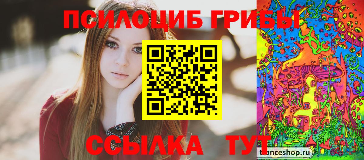 Галлюциногенные грибы Psilocybine cubensis  Псилоцибиновые грибы мицелий  Красноярск  как найти закладки  Вход с VPN 